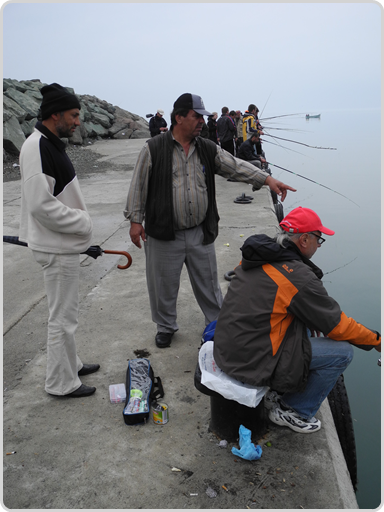 So geht das - Anleitung vom Angelmeister So geht das - Anleitung vom Angelmeister