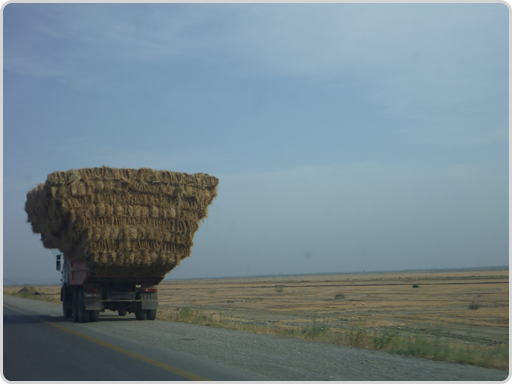 Heutransporter, schlecht beladen. Oben wäre doch noch Platz gewesen! Heutransporter, schlecht beladen. Oben wäre doch noch Platz gewesen!
