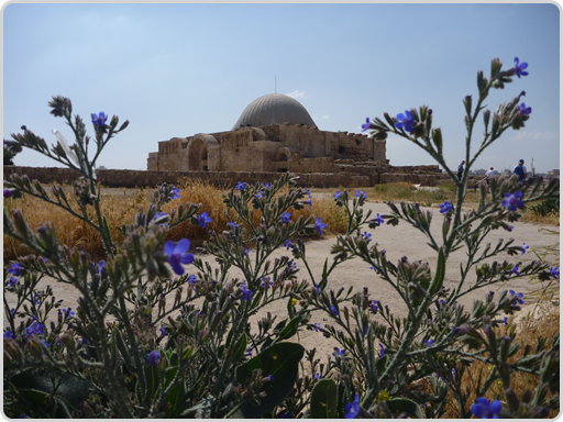 Eines der wenigen restaurierten Gebäude in diesem Steinhaufen-Meer Eines der wenigen restaurierten Gebäude in diesem Steinhaufen-Meer